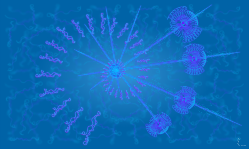 Dream: Evolución del espiral