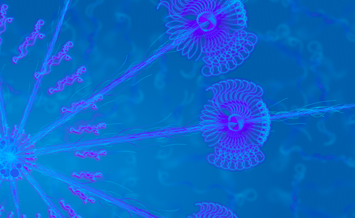 ir a Evolución del espiral